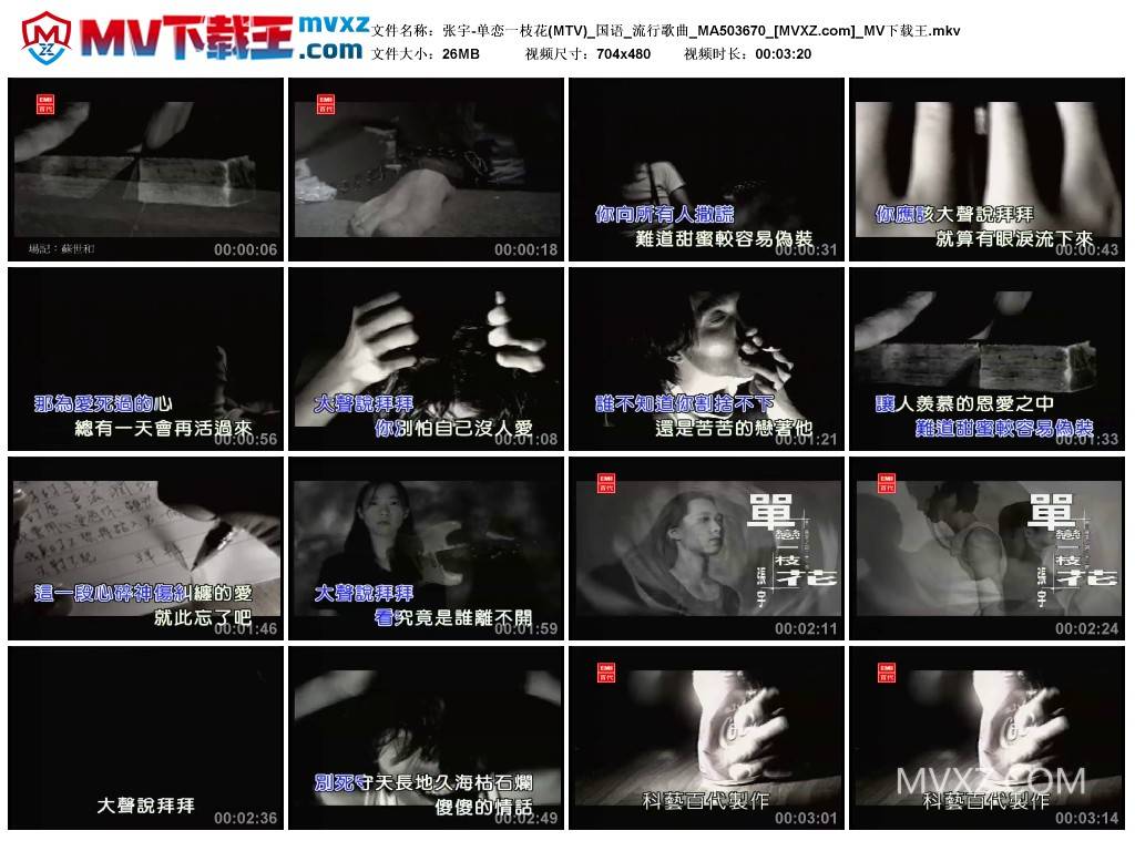 张宇-单恋一枝花(MTV)_国语_流行歌曲_MA503670